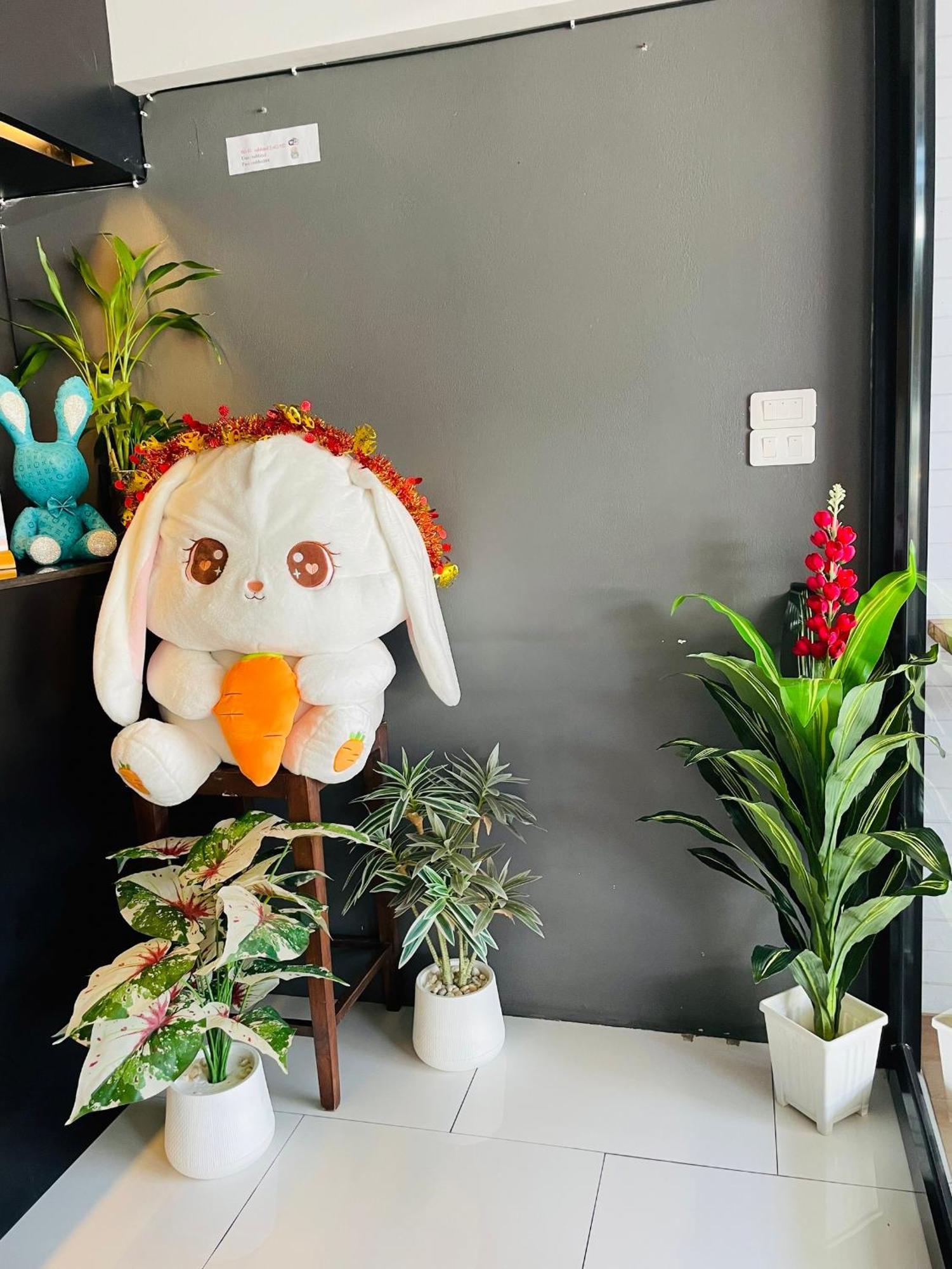 Hostel Rabbitel Phuket Zewnętrze zdjęcie
